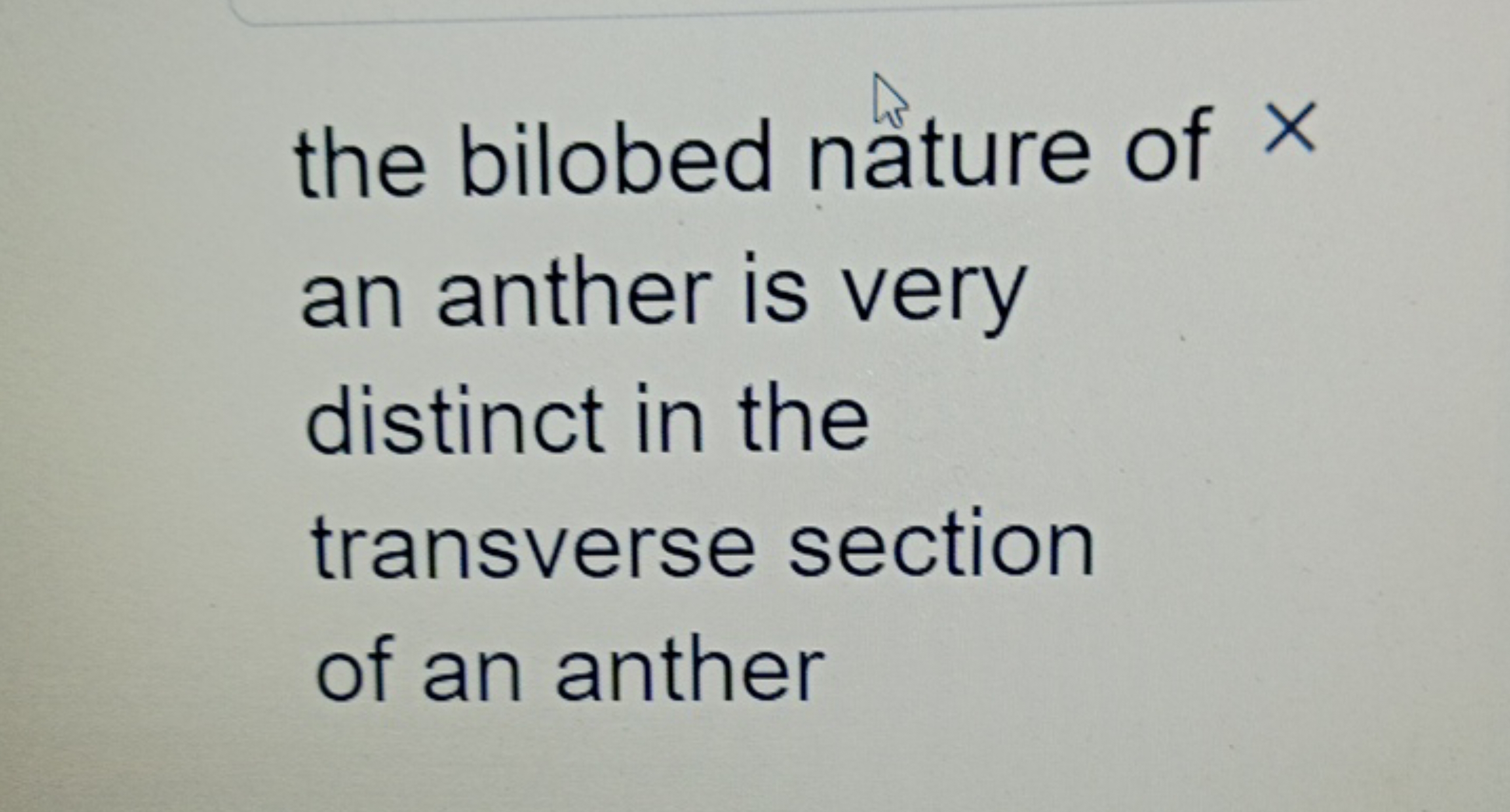 the bilobed nâture of × an anther is very distinct in the transverse s