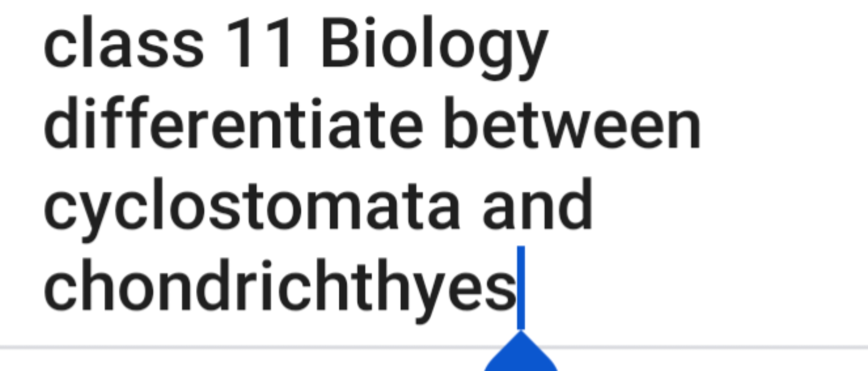 class 11 Biology differentiate between cyclostomata and chondrichthyes