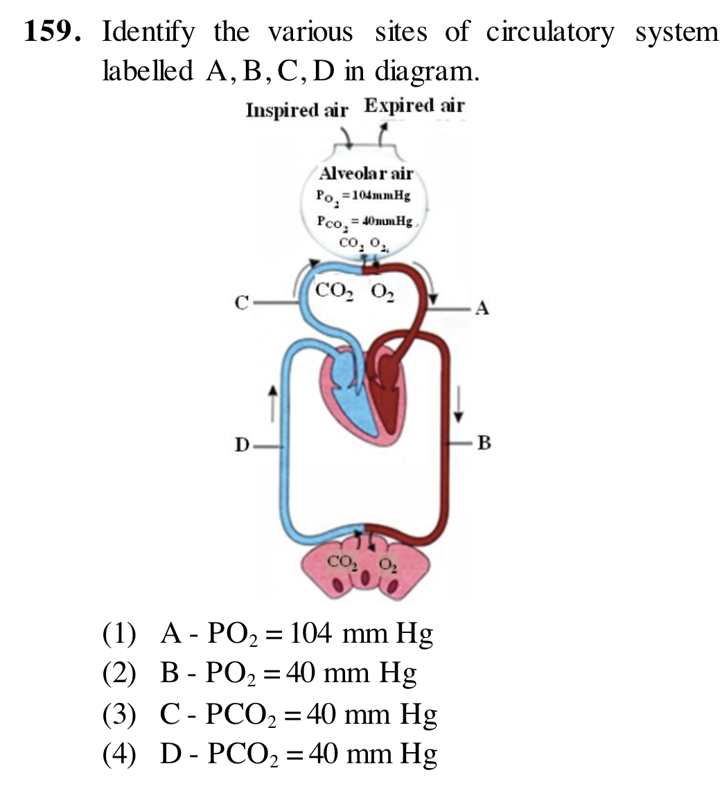 PCO-40