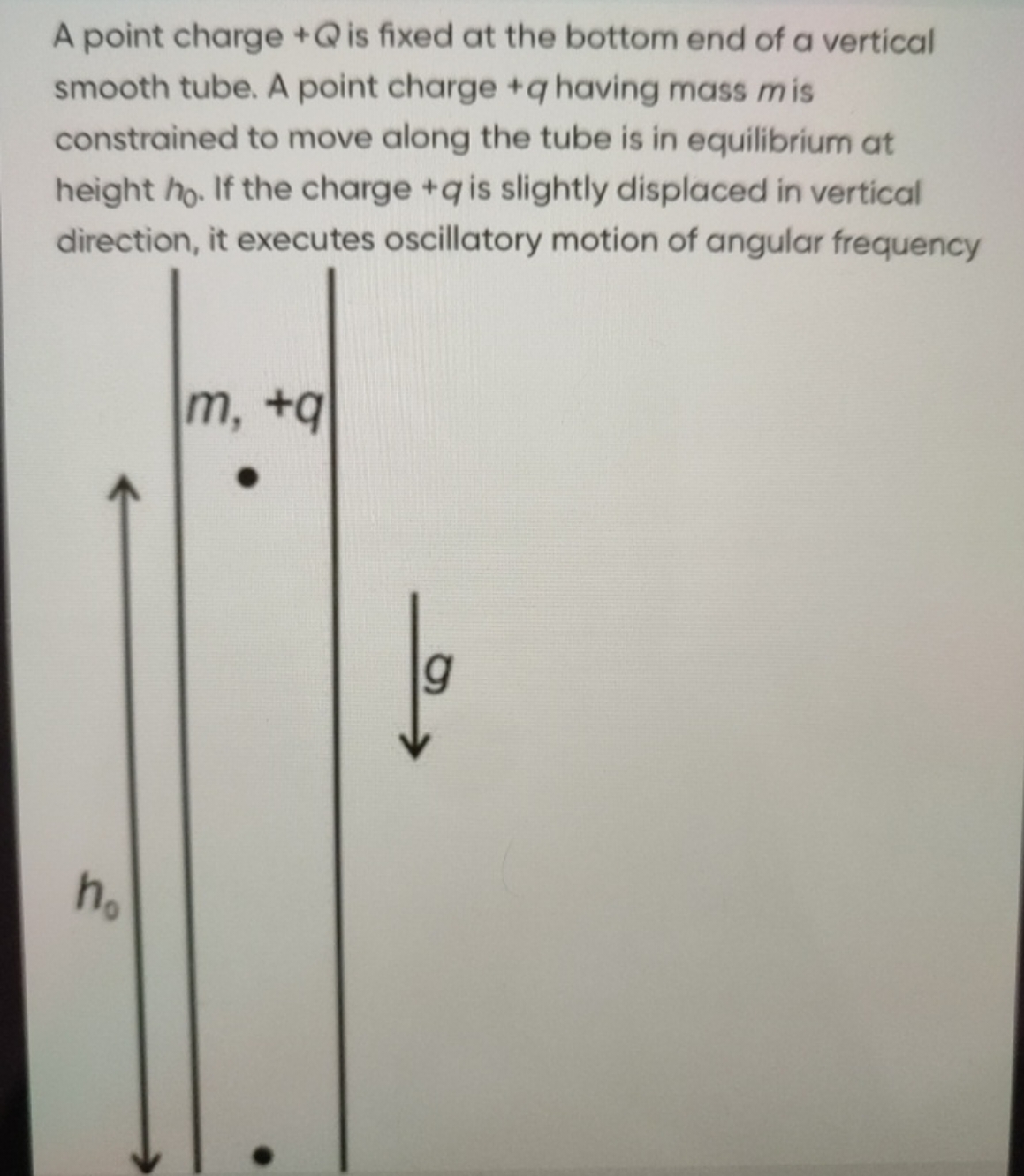 A point charge +Q is fixed at the bottom end of a vertical smooth tube