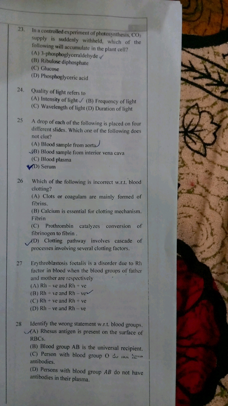 23. In a controlled experiment of photosynthesis, CO2​ supply is sudde