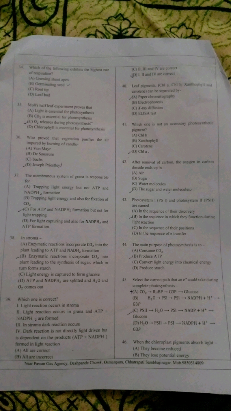 34. Which of the following exhibits the highest rate of respiration?
(