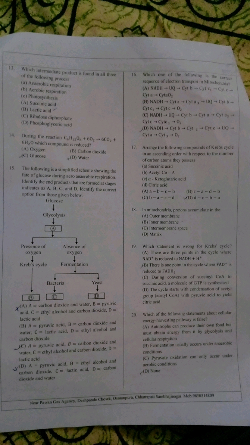 13. Which intermediate product is found in all three of the following 