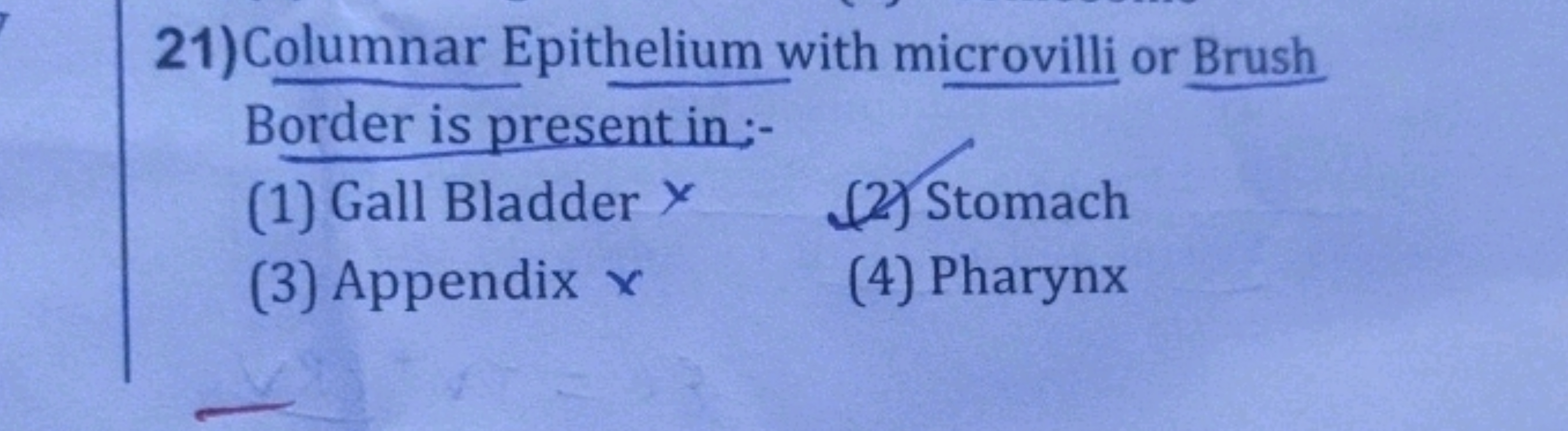 21) Columnar Epithelium with microvilli or Brush Border is presentin:-