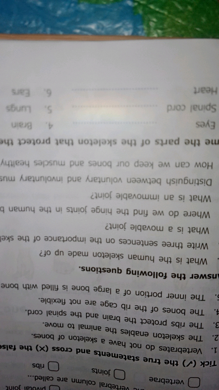 
vertebrae joints

Tick (Ω) the true statements and cross (X) the fals