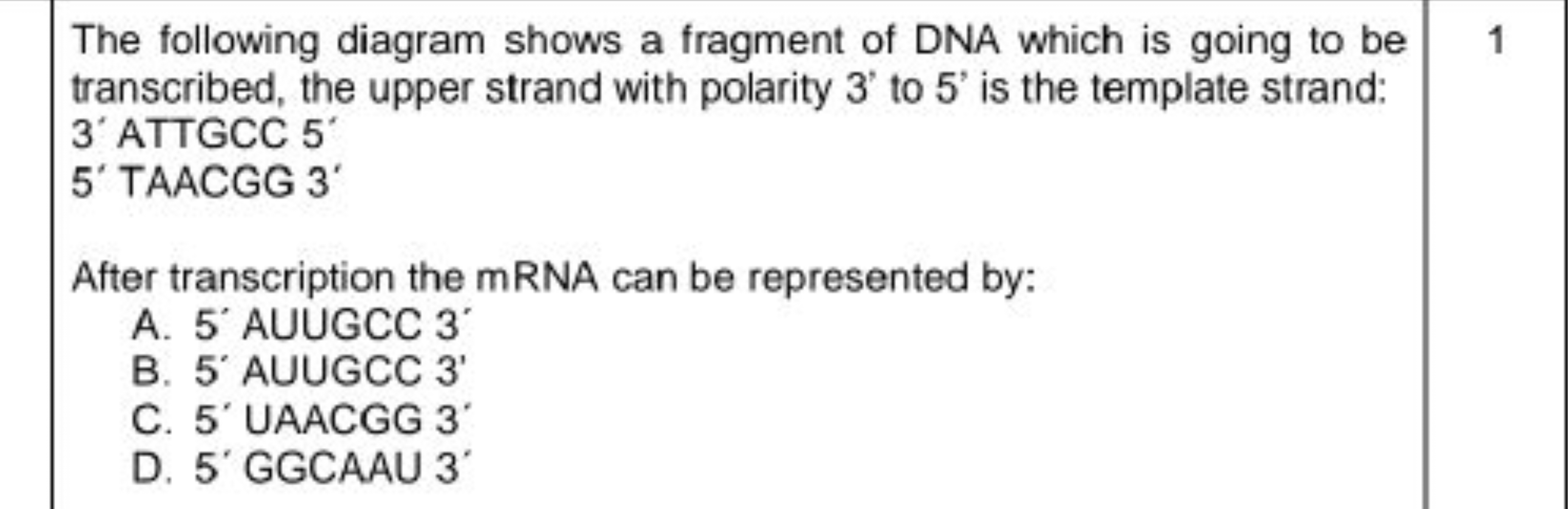 The following diagram shows a fragment of DNA which is going to be tra