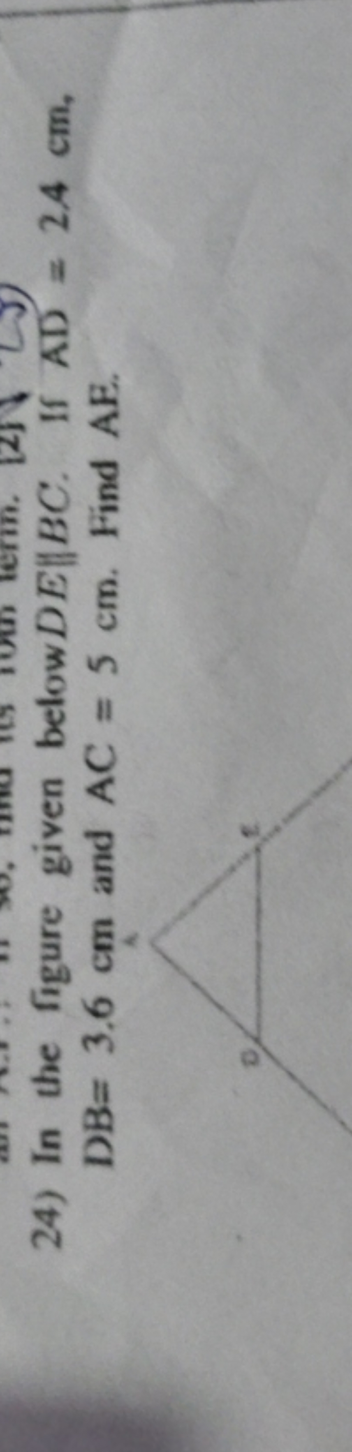 24) In the figure given below DE∥BC. If AD=2.4 cm, DB=3.6 cm and AC=5 