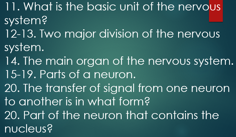 What is the basic unit of the nervous system? 12-13. Two major divisions