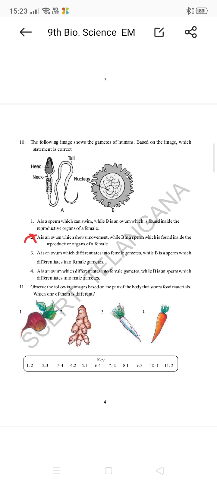 *!
← 9th Bio. Science EM
■́
α00​
3
10. The following image shows the g