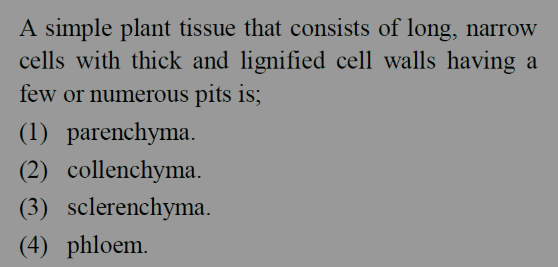 A simple plant tissue that consists of long, narrow cells with thick and