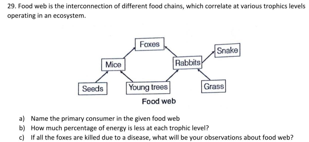 29. Food web is the interconnection of different food chains, which corre..