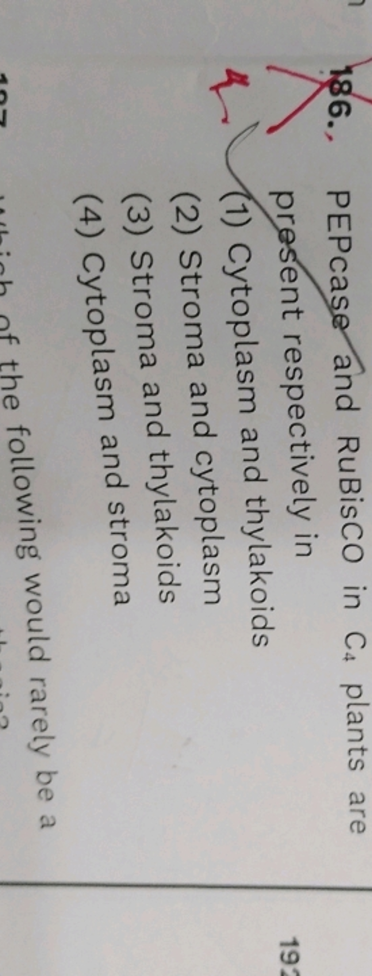 186., PEPcase and RuBisCO in C4​ plants are prosent respectively in
(1