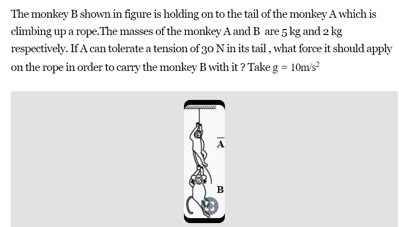 The monkey B shown in figure is holding on to the tail of the monkey A wh..