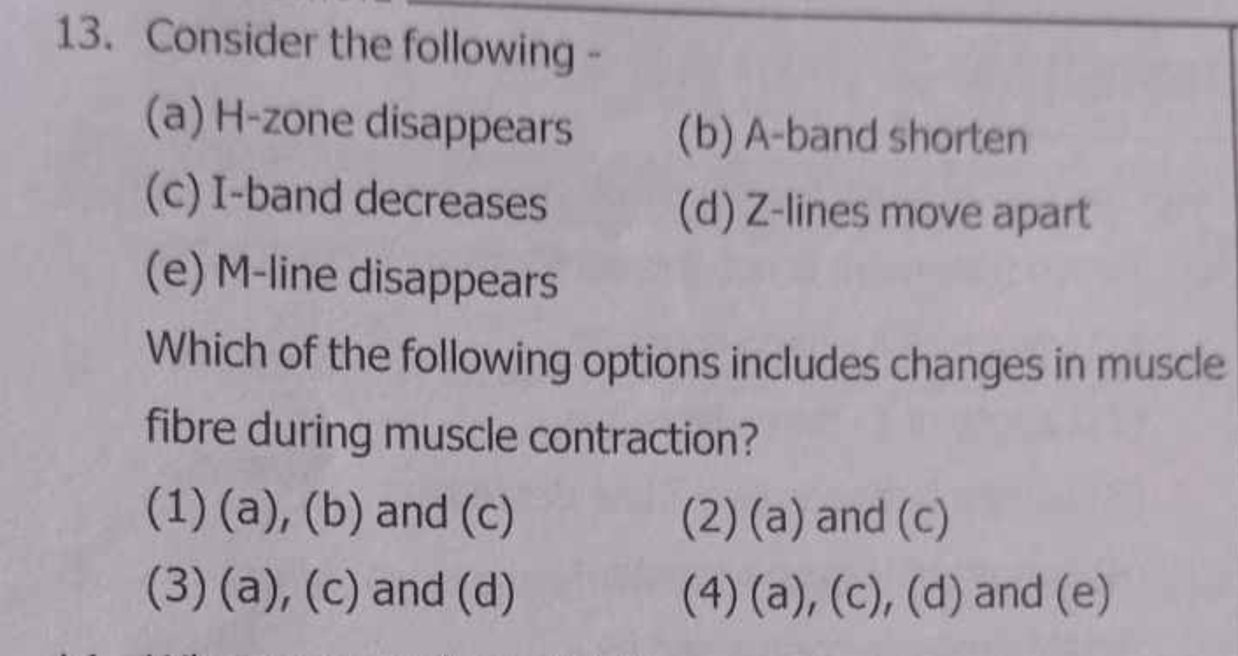 13. Consider the following -
(a) H -zone disappears
(b) A-band shorten