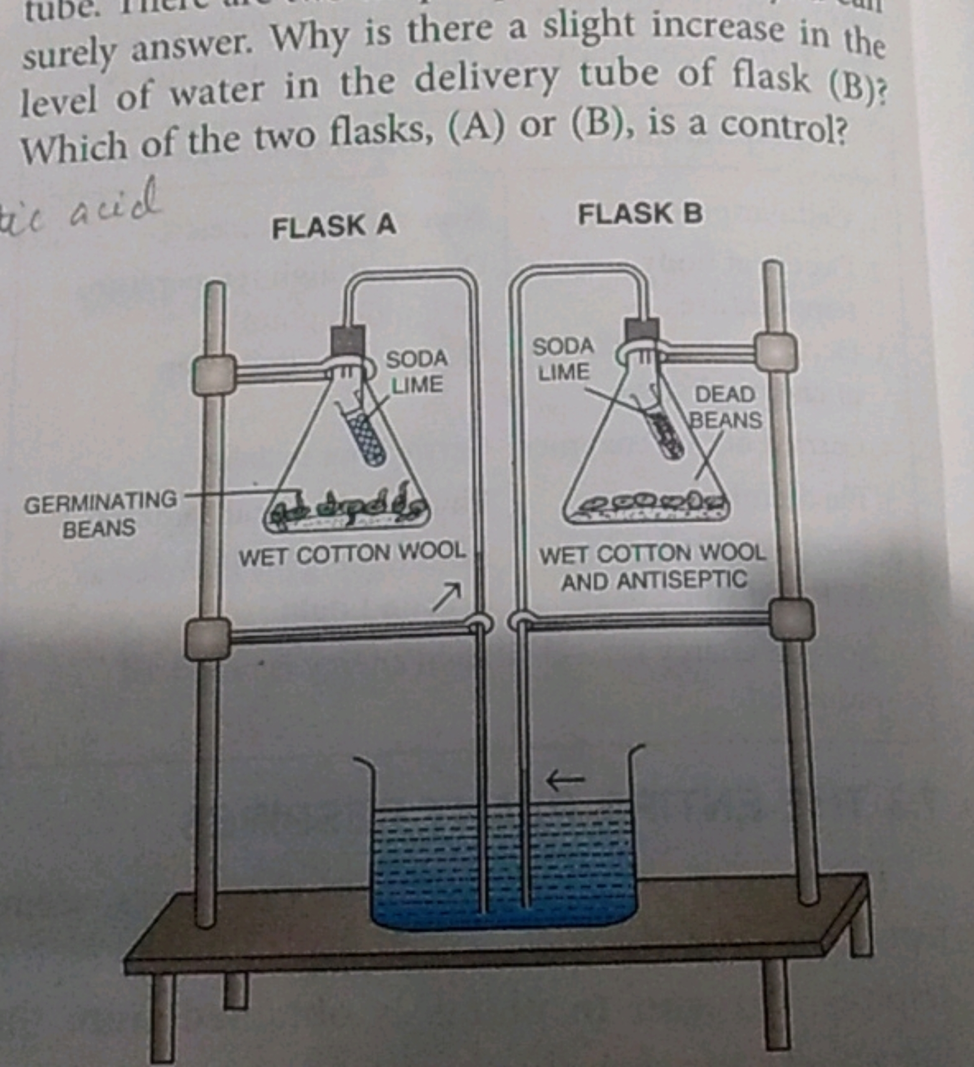 surely answer. Why is there a slight increase in the level of water in