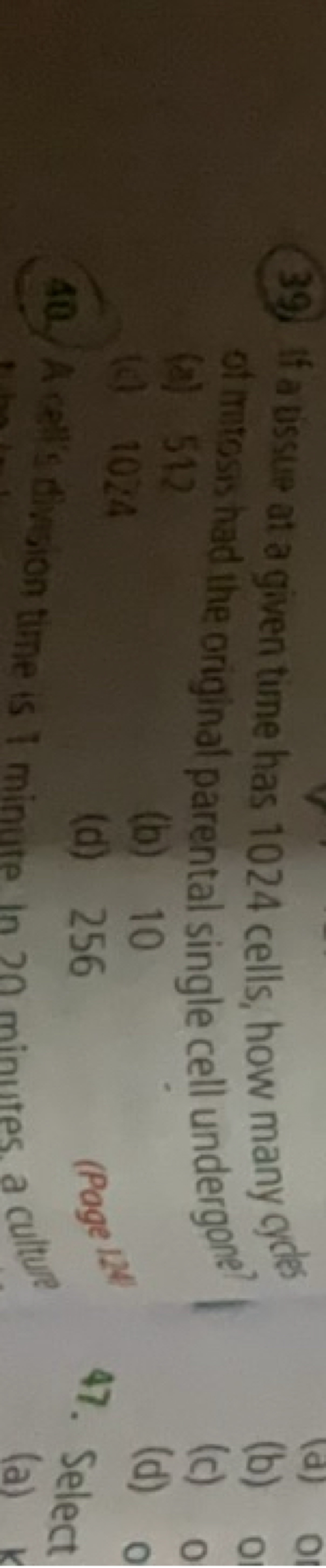 (39) If a ussue at a given time has 1024 cells, how many gydef (a) 512