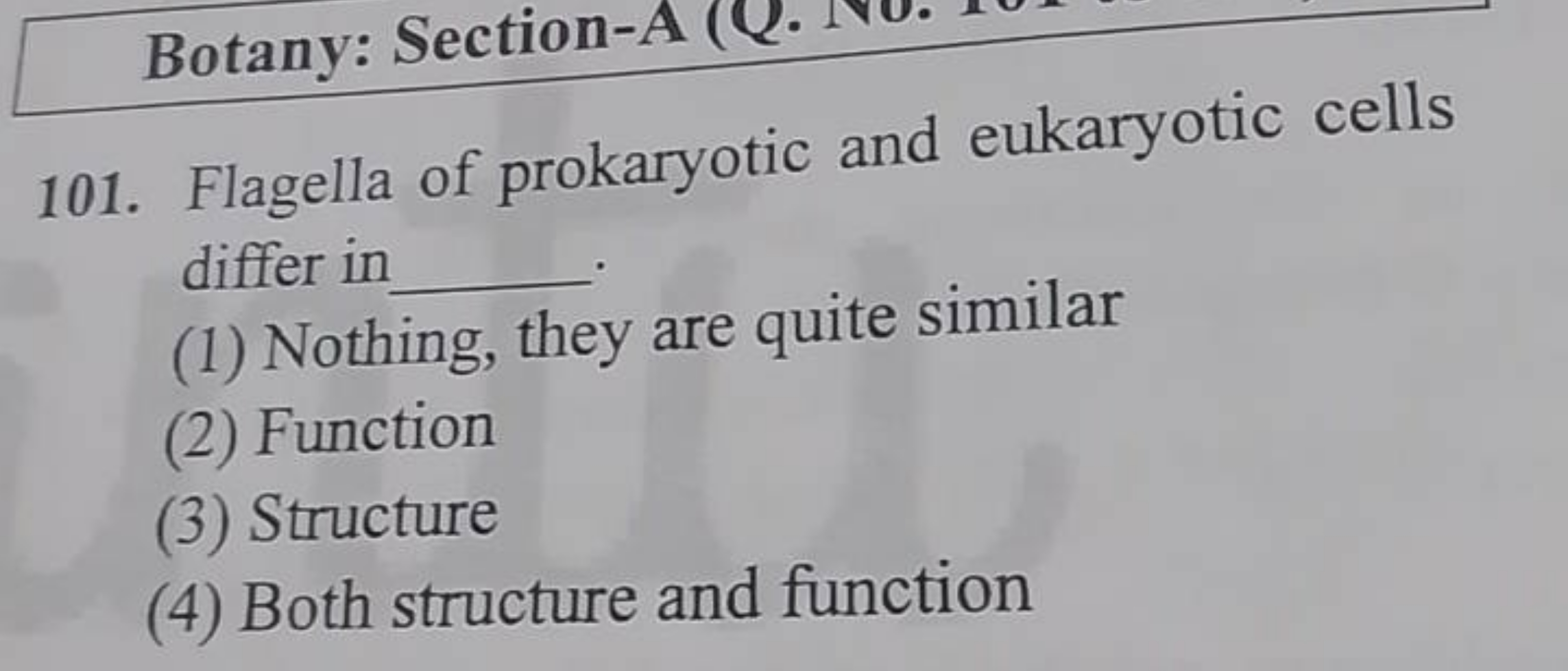 101. Flagella of prokaryotic and eukaryotic cells differ in 
(1) Nothi