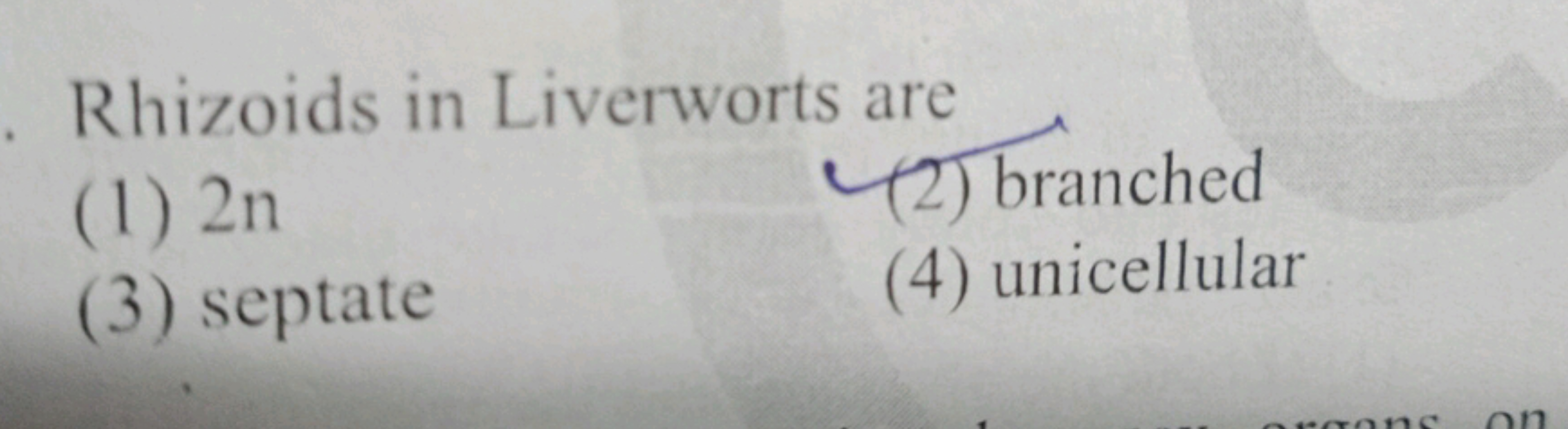 Rhizoids in Liverworts are
(1) 2n
(2) branched
(3) septate
(4) unicell