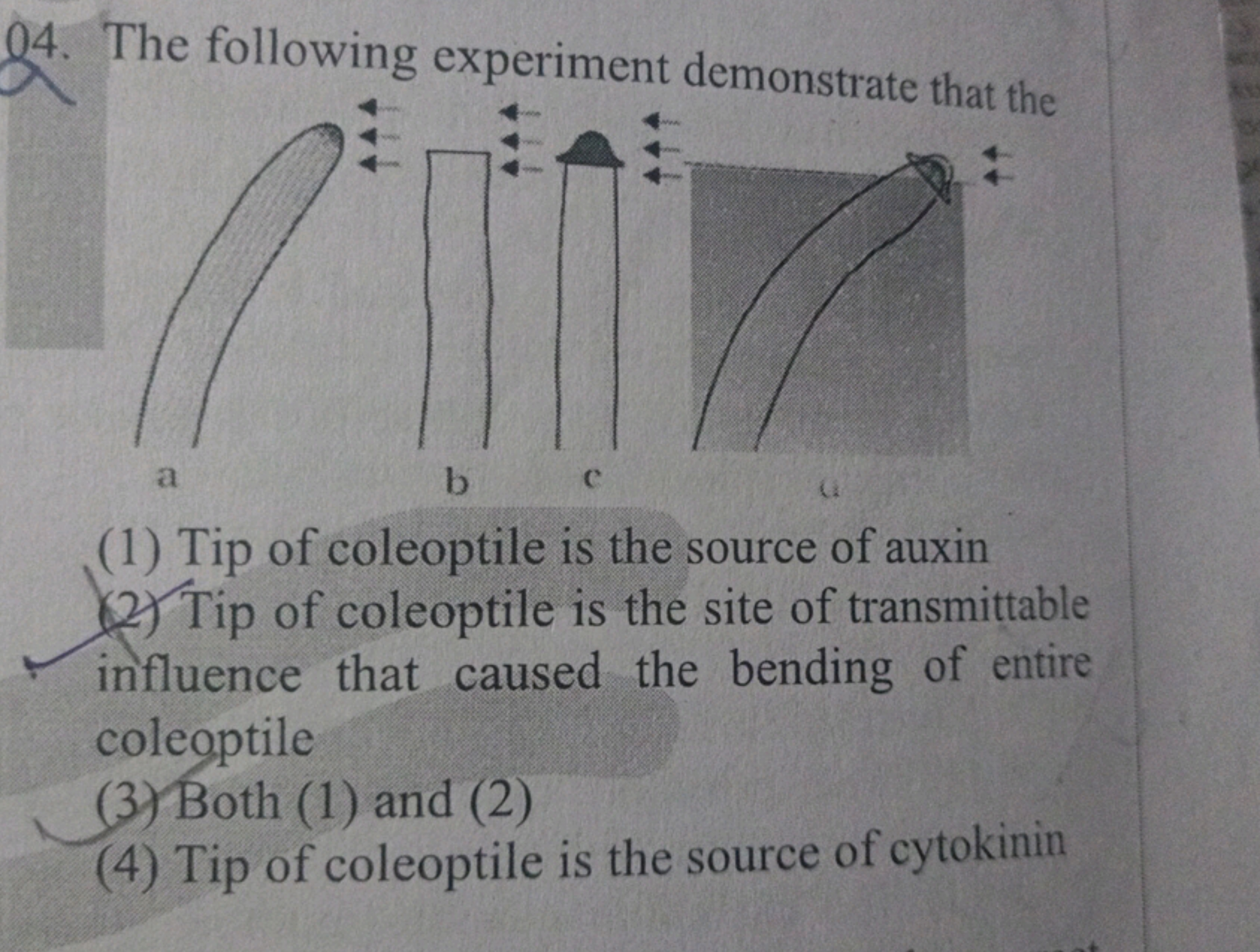 04. The following experiment demonstrate that the
(1) Tip of coleoptil