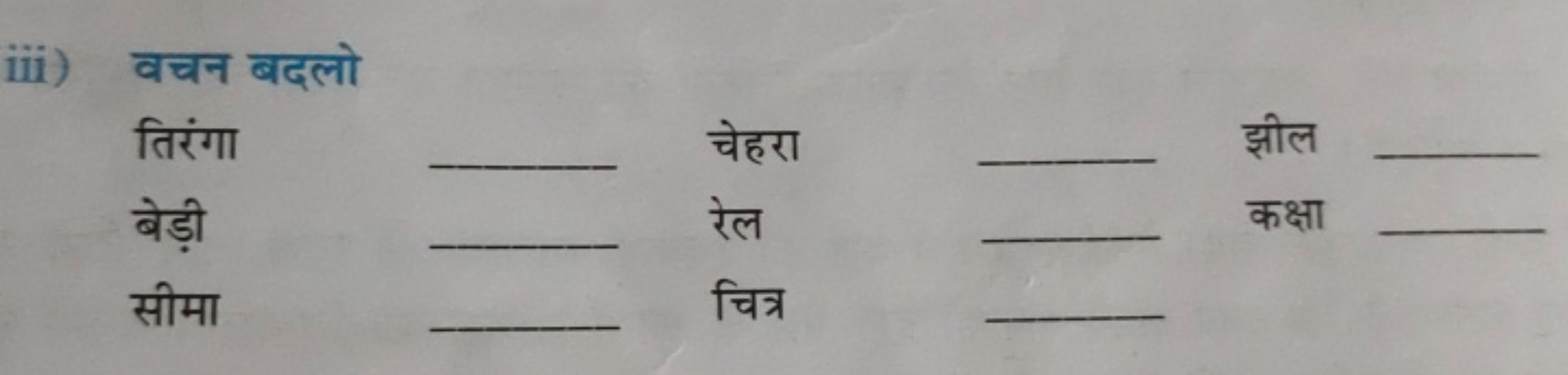 iii) वचन बदलो

तिरंगा 
चेहरा 
झील 
बेड़ी  रेल 
कक्षा 
सीमा 
चित्र 