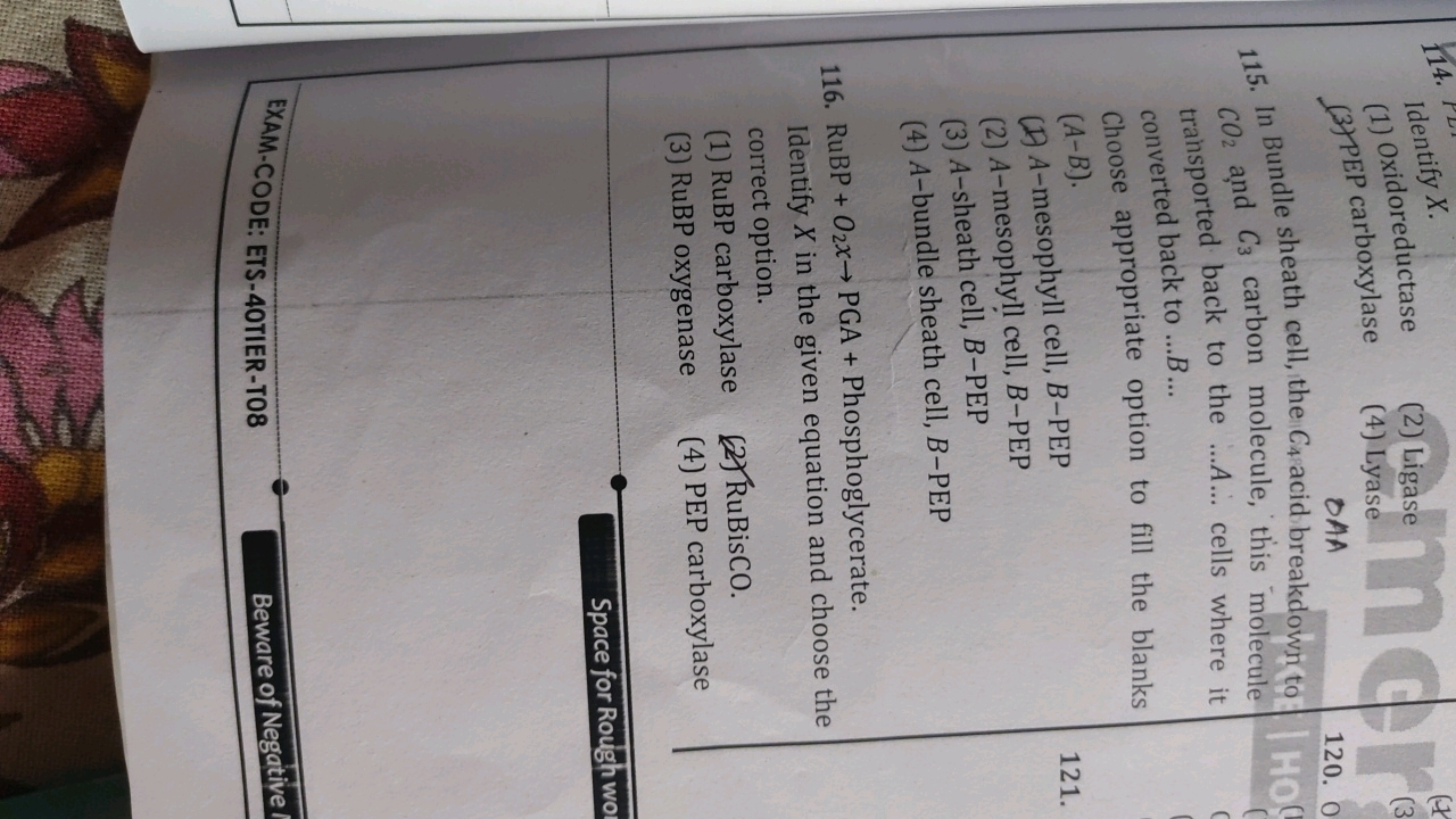 14.
(1)
(1) Oxidoreductase
(2) Ligase
(3) PEP carboxylase
(4) Lyase
OA