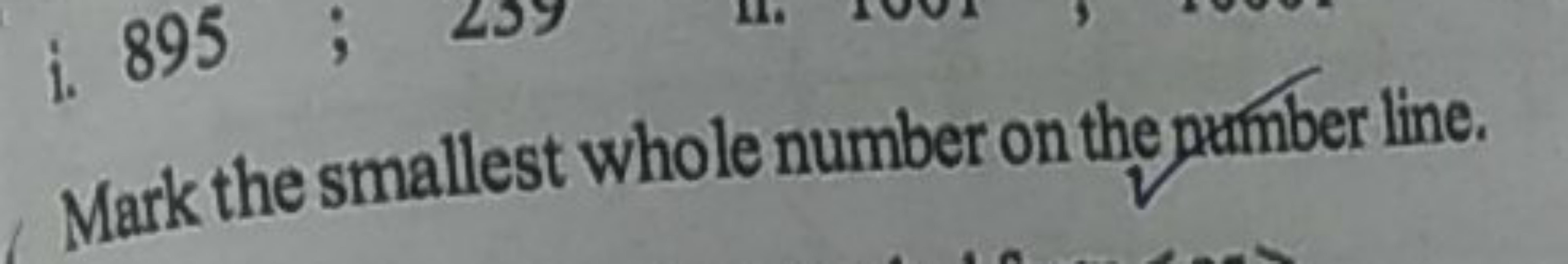 Mark the smallest whole number on the pumber line.