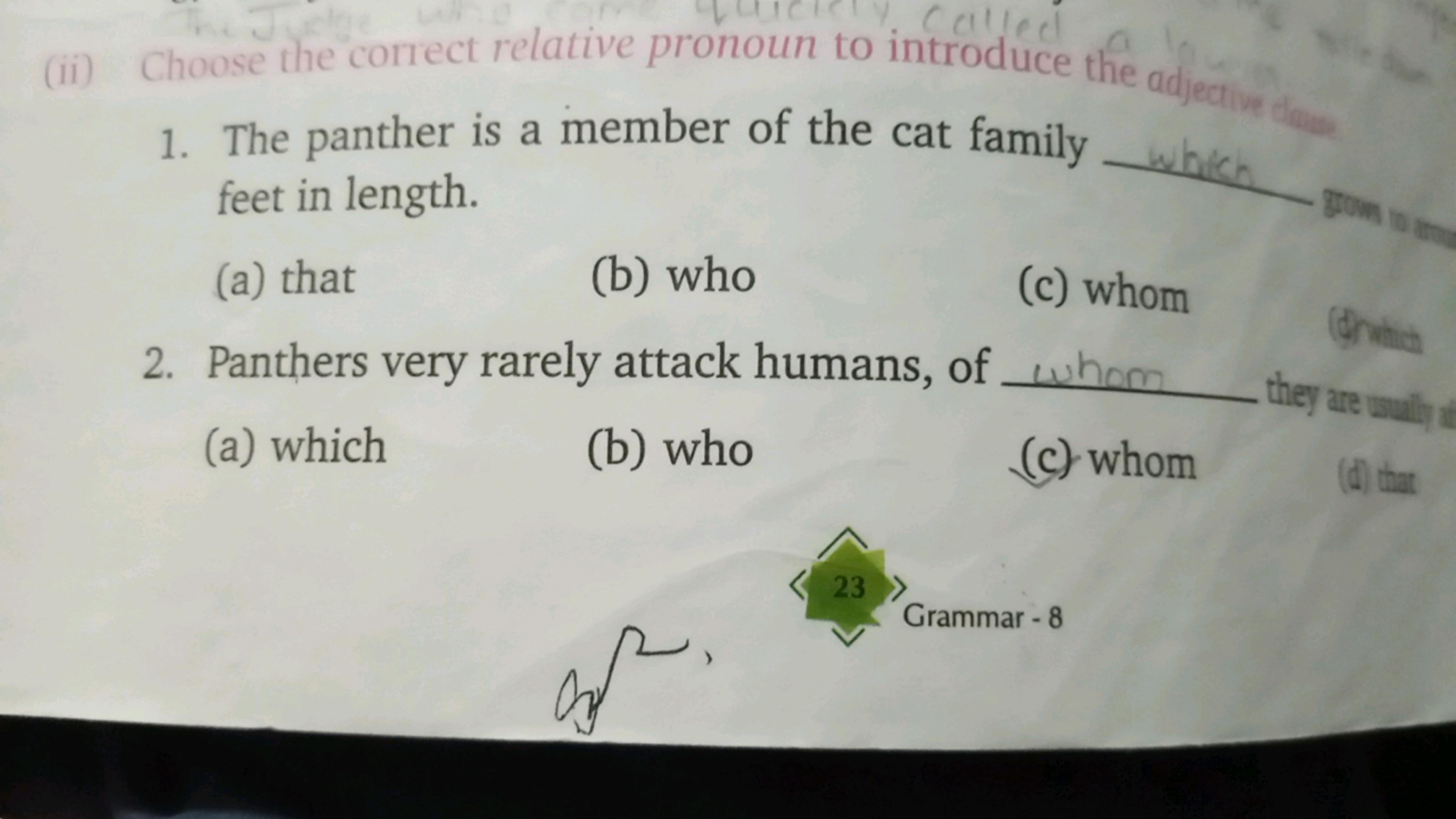 (ii) Choose the correct relative pronoun to introduce the adjeann
1. T