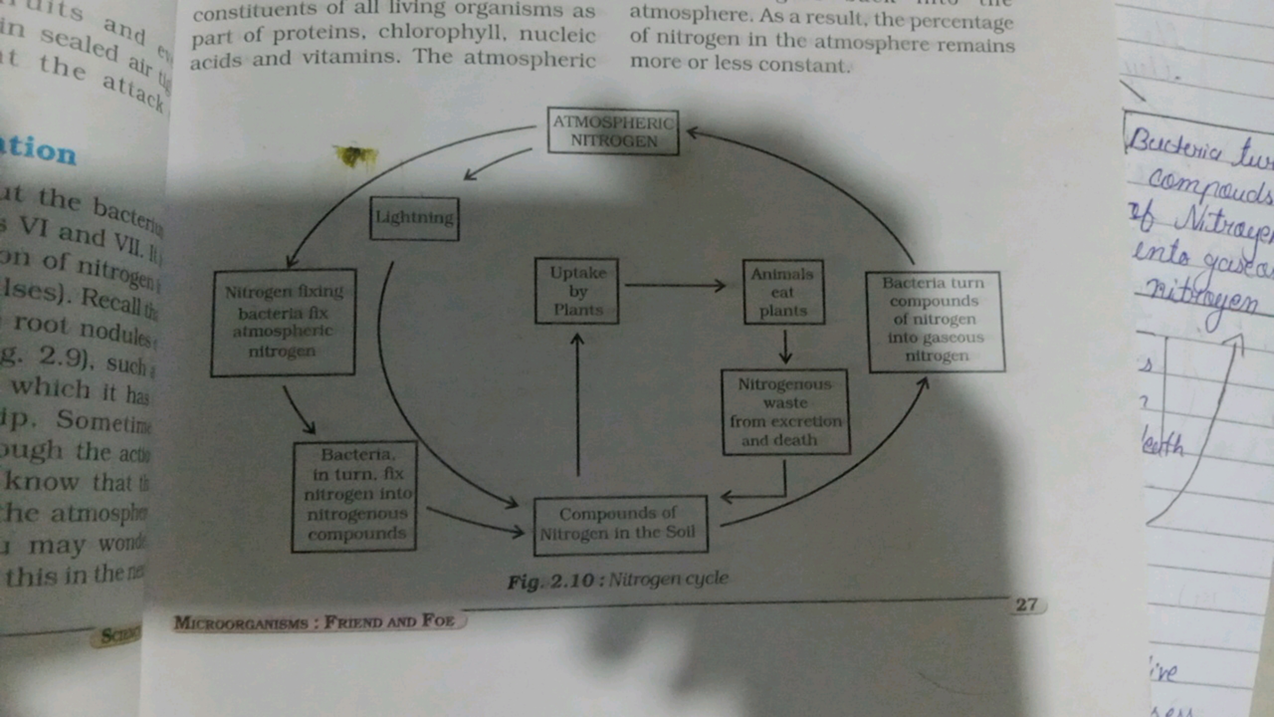 constituents of all living organisms as part of proteins, chlorophyll,