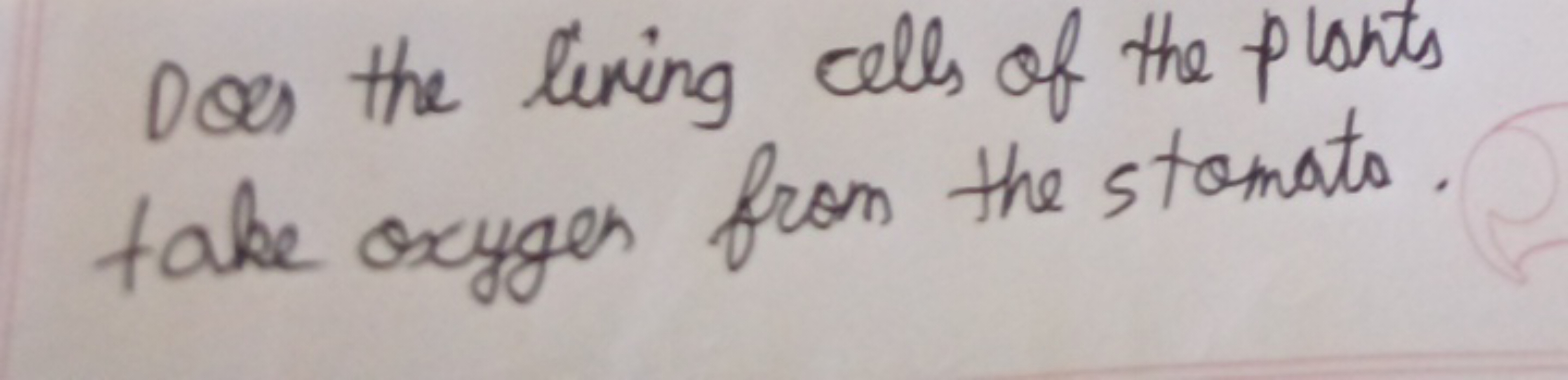 Dos the living cells of the plants take oxygen from the stomata.