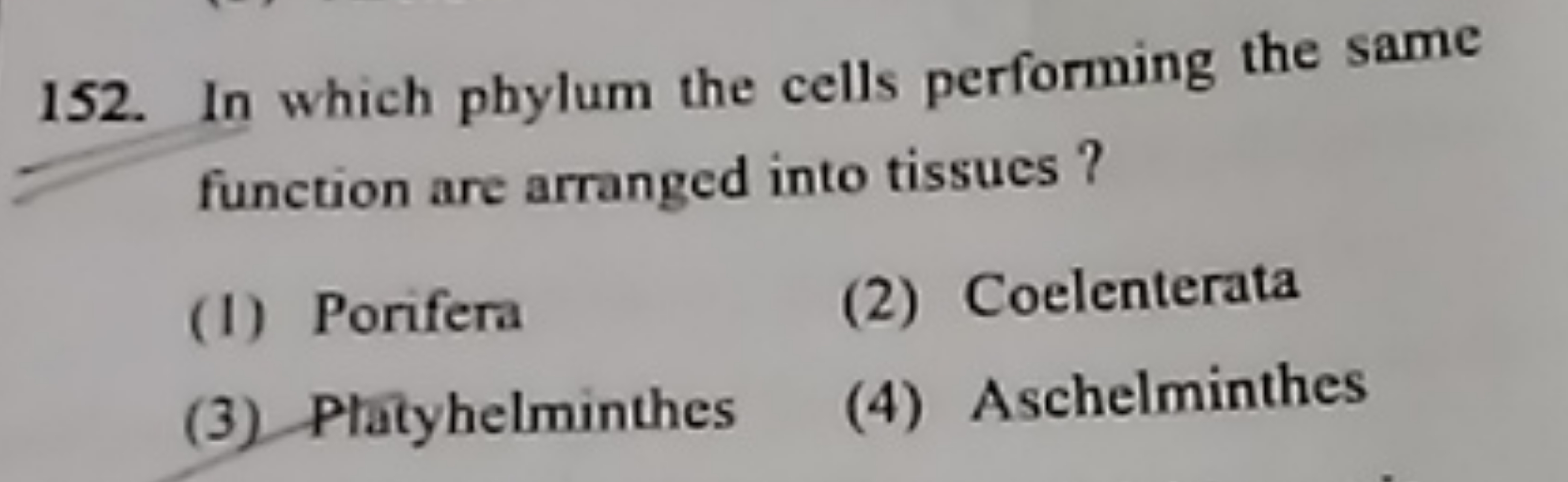 152. In which phylum the cells performing the same function are arrang