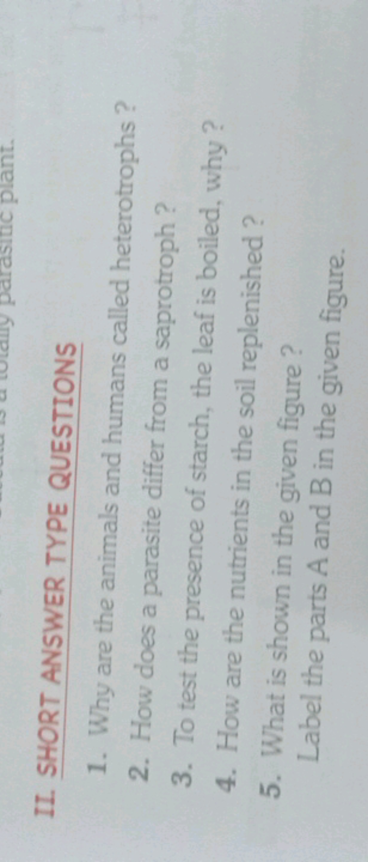 II. SHORT ANSWER TYPE QUESTIONS
1. Why are the animals and humans call