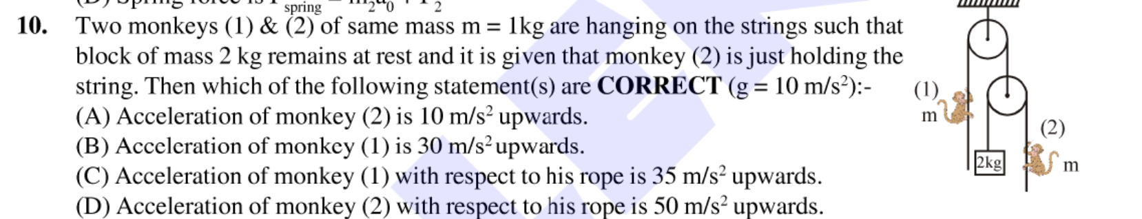 10. Two monkeys (1) \& (2) of same mass m=1 kg are hanging on the stri