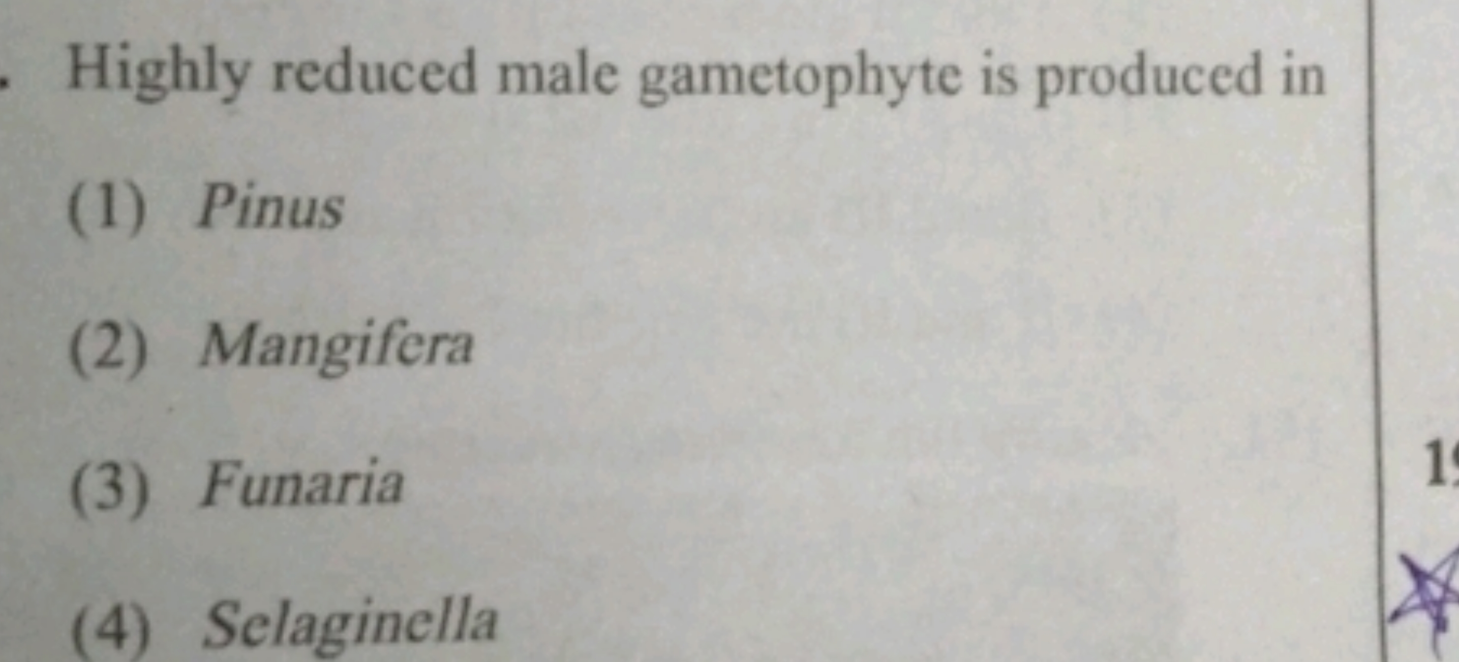 Highly reduced male gametophyte is produced in
(1) Pinus
(2) Mangifera