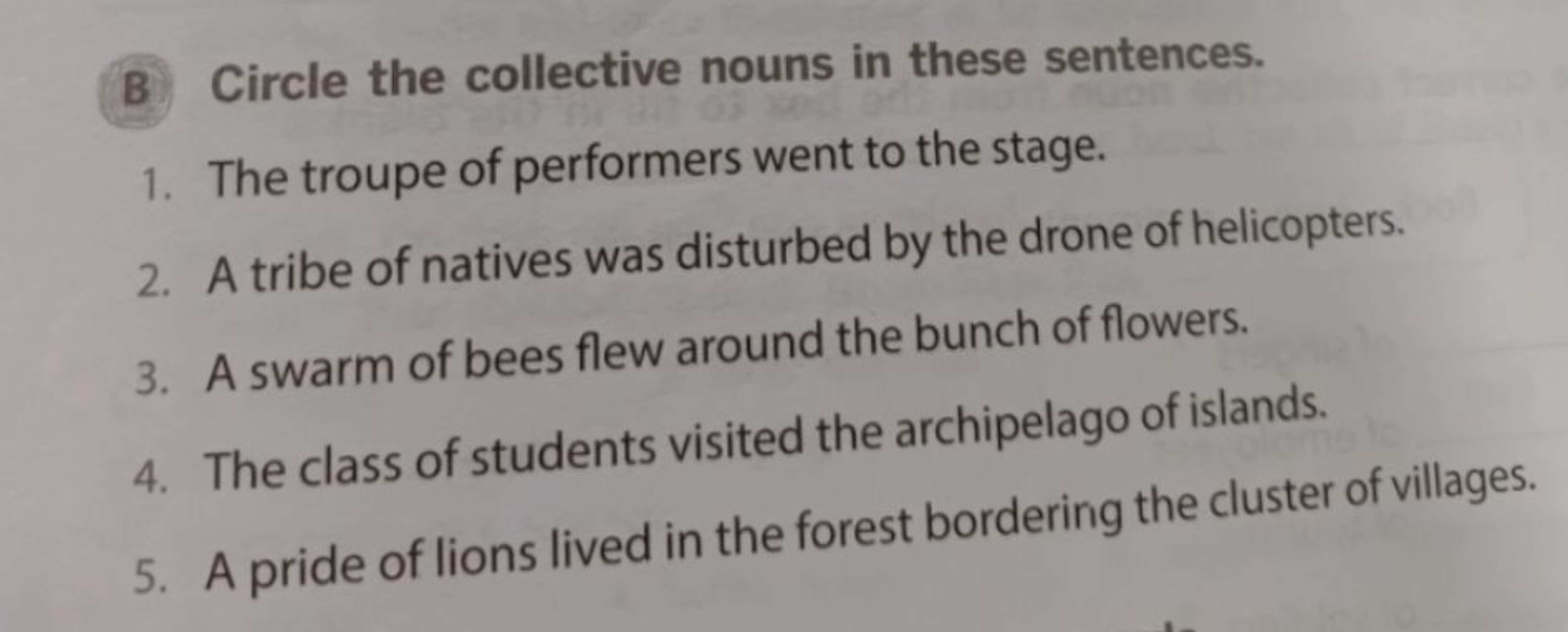 B Circle the collective nouns in these sentences.
1. The troupe of per