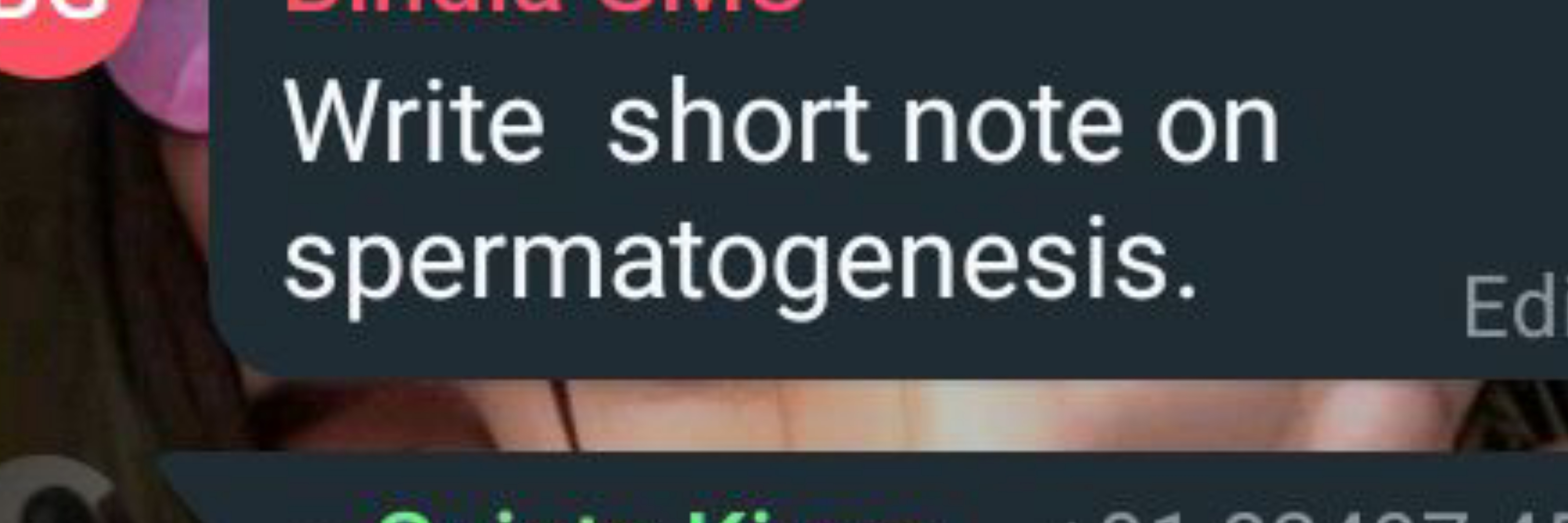 Write short note on spermatogenesis.