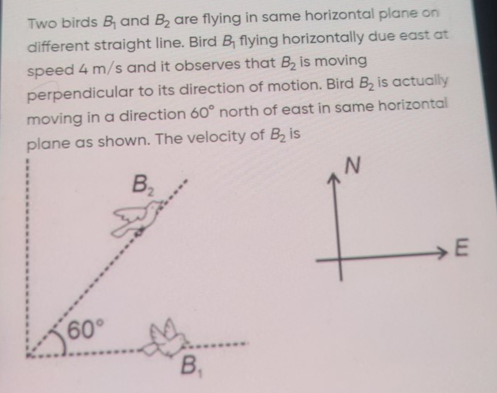 Two birds B1​ and B2​ are flying in same horizontal plane on different