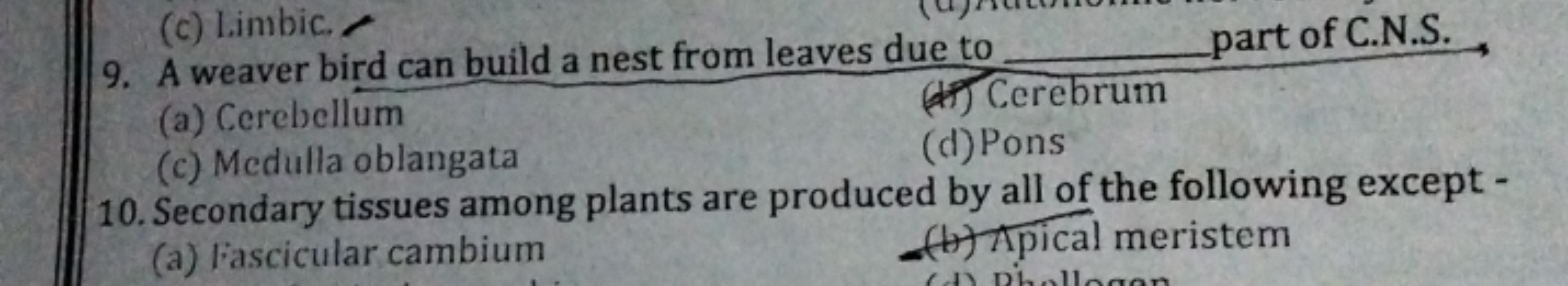 (c) Limbic.
9. A weaver bird can build a nest from leaves due to  part