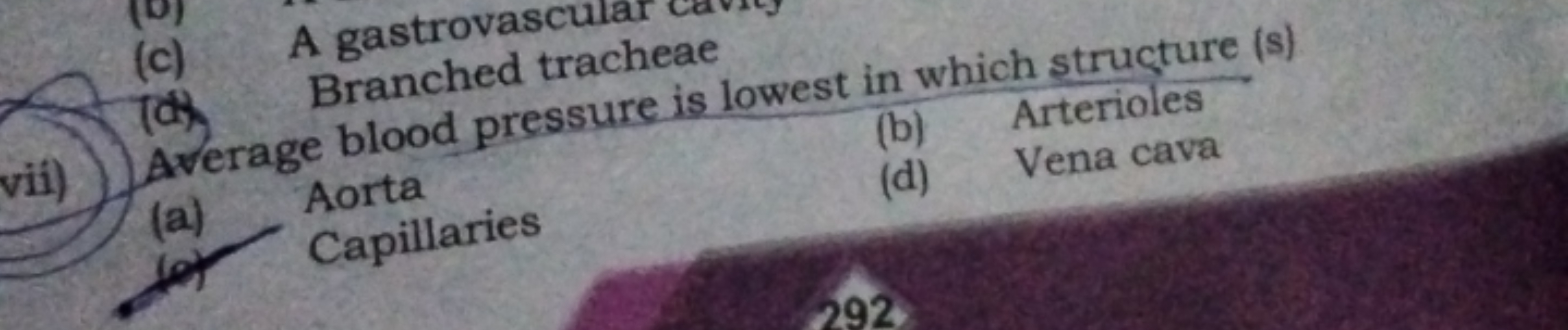 (c)
A gastrovascu
TOB
Branched tracheae
vii) Average blood pressure is