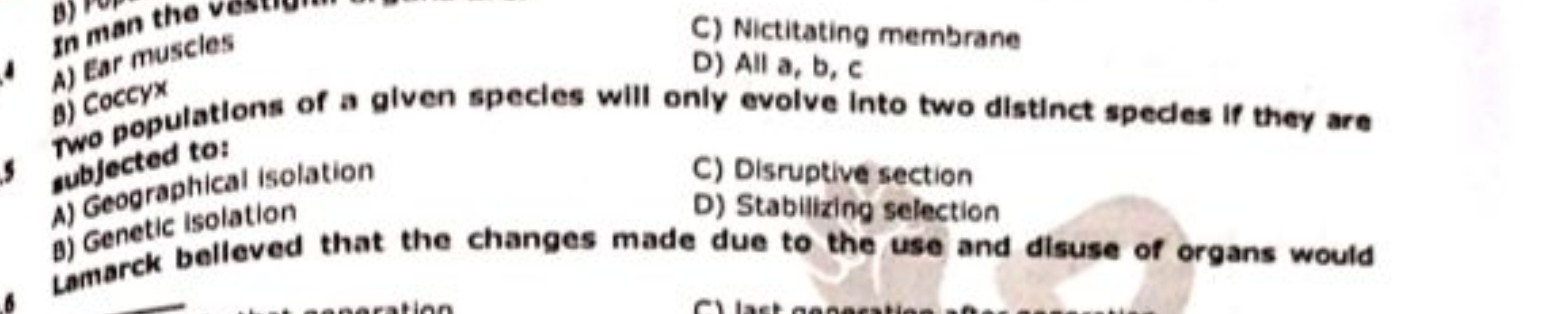 in man the
C) Nictitating membrane
A) Ear muscles
D) All a, b, c
b) co