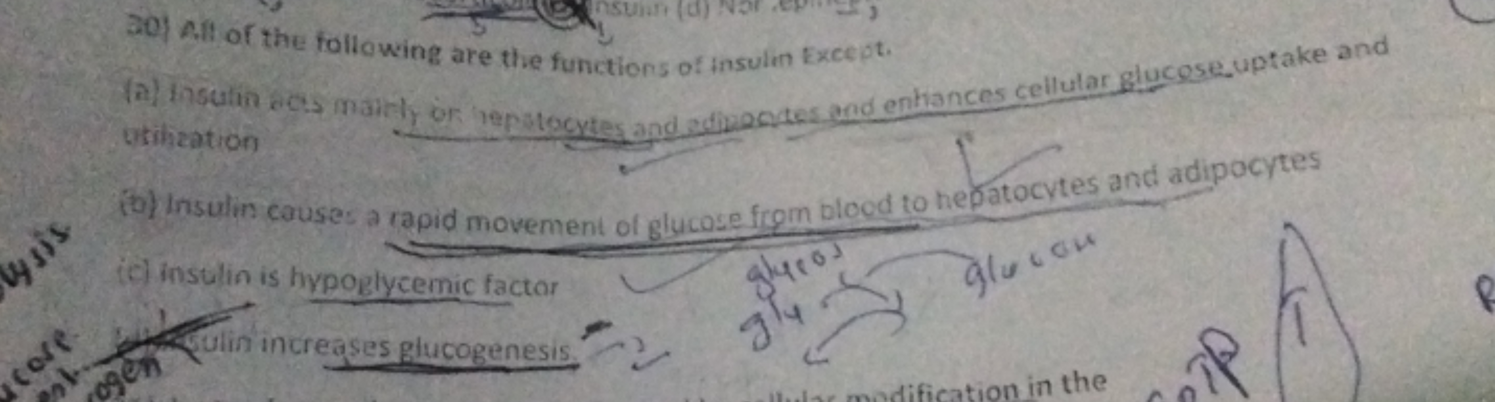 core
lysis
Un (d)
L
30) All of the following are the functions of insu