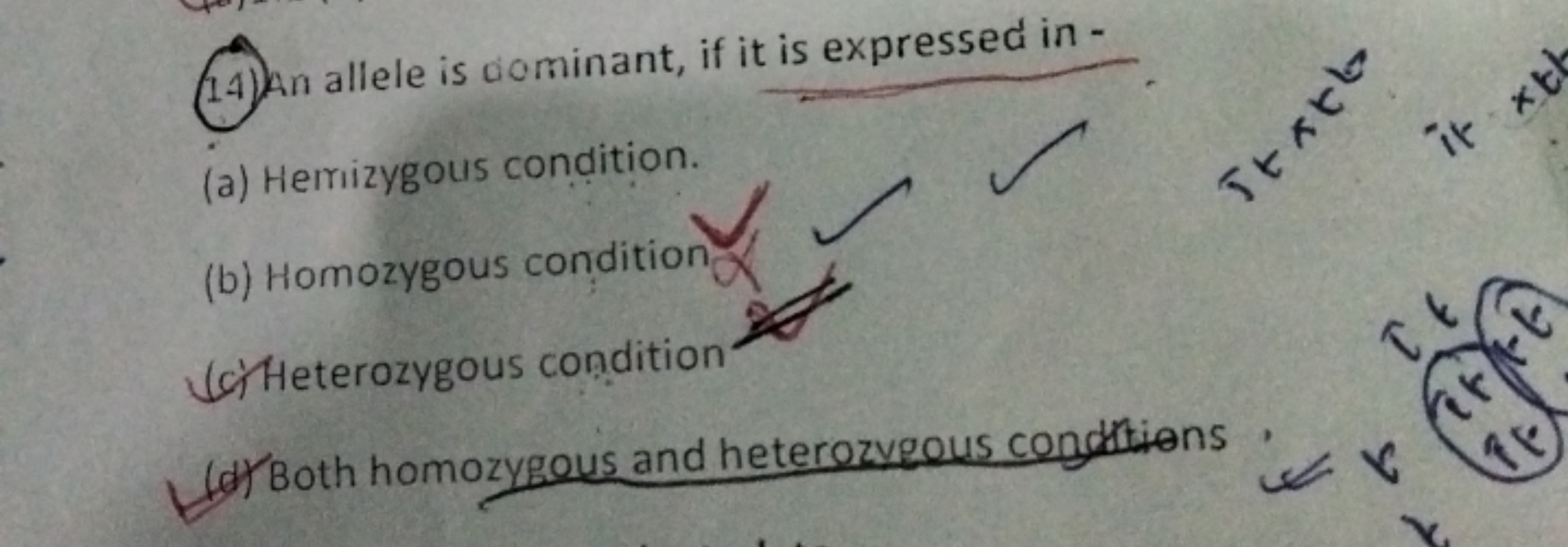 (14) An allele is cominant, if it is expressed in -
(a) Hemizygous con