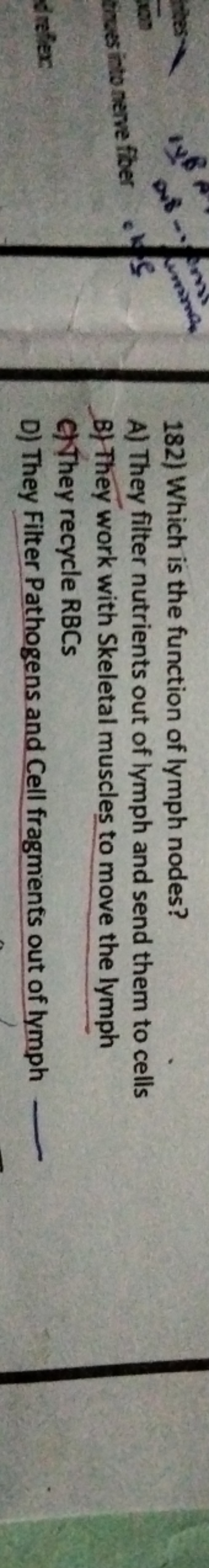 182) Which is the function of lymph nodes?
A) They filter nutrients ou