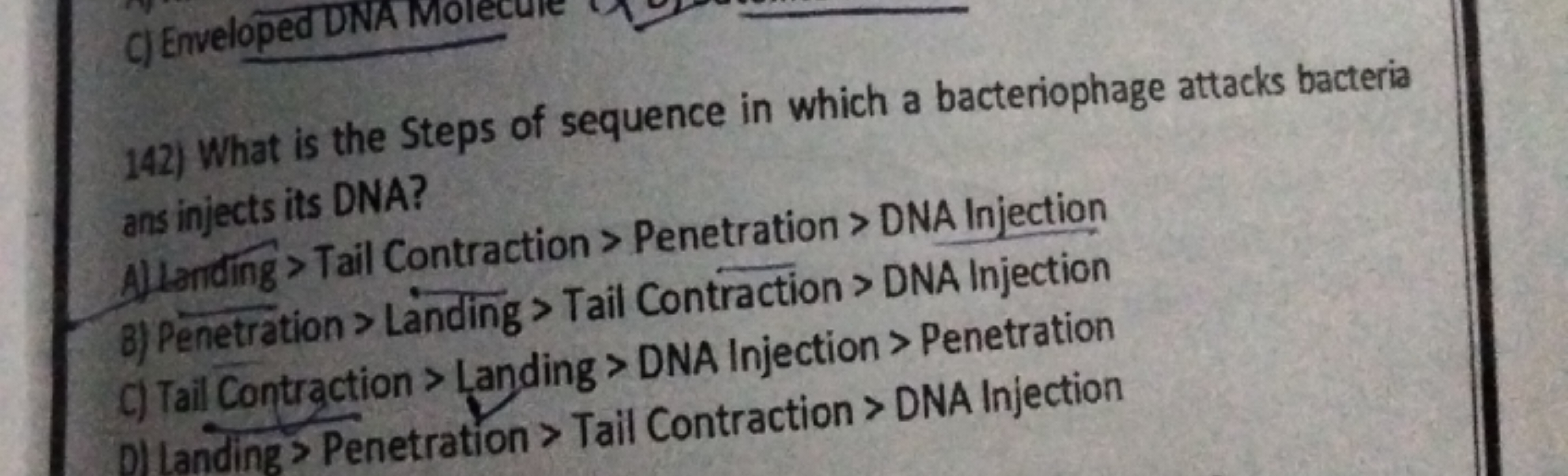 142) What is the Steps of sequence in which a bacteriophage attacks ba