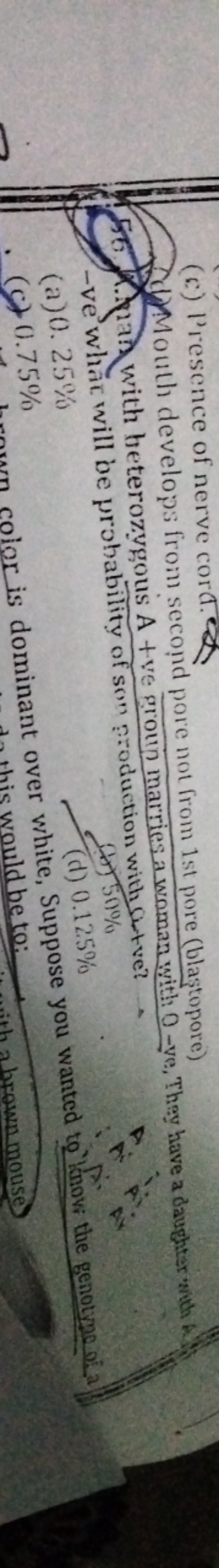 (c) Presence of nerve cord.

Mouth develop; from second pore not from 