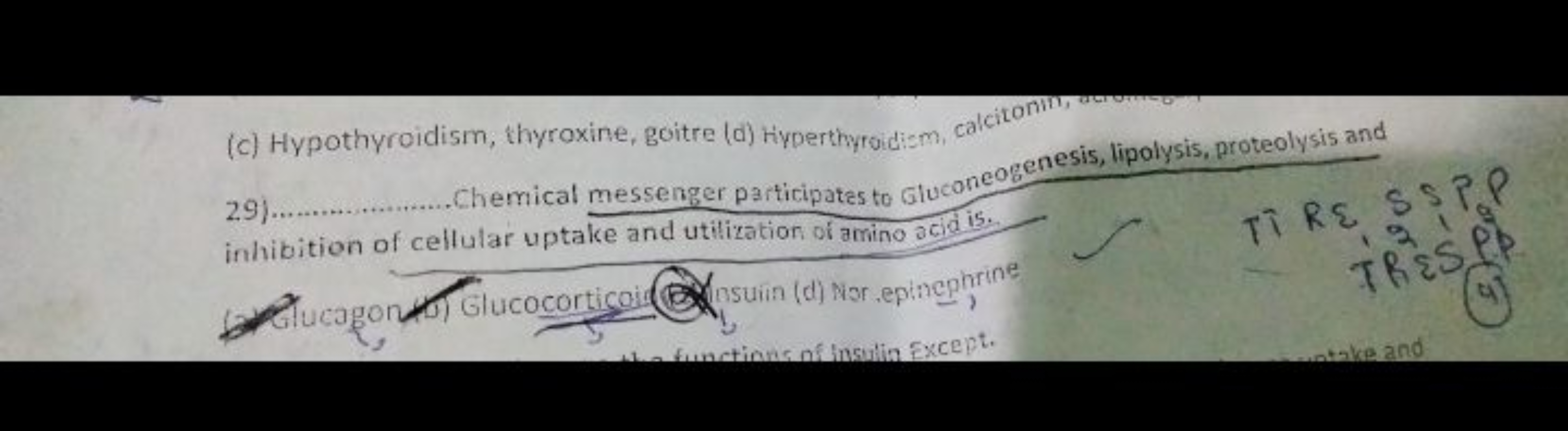 (c) Hypothyroidism, thyroxine, goitre (d) Hyperthyroidism, calcitonin,