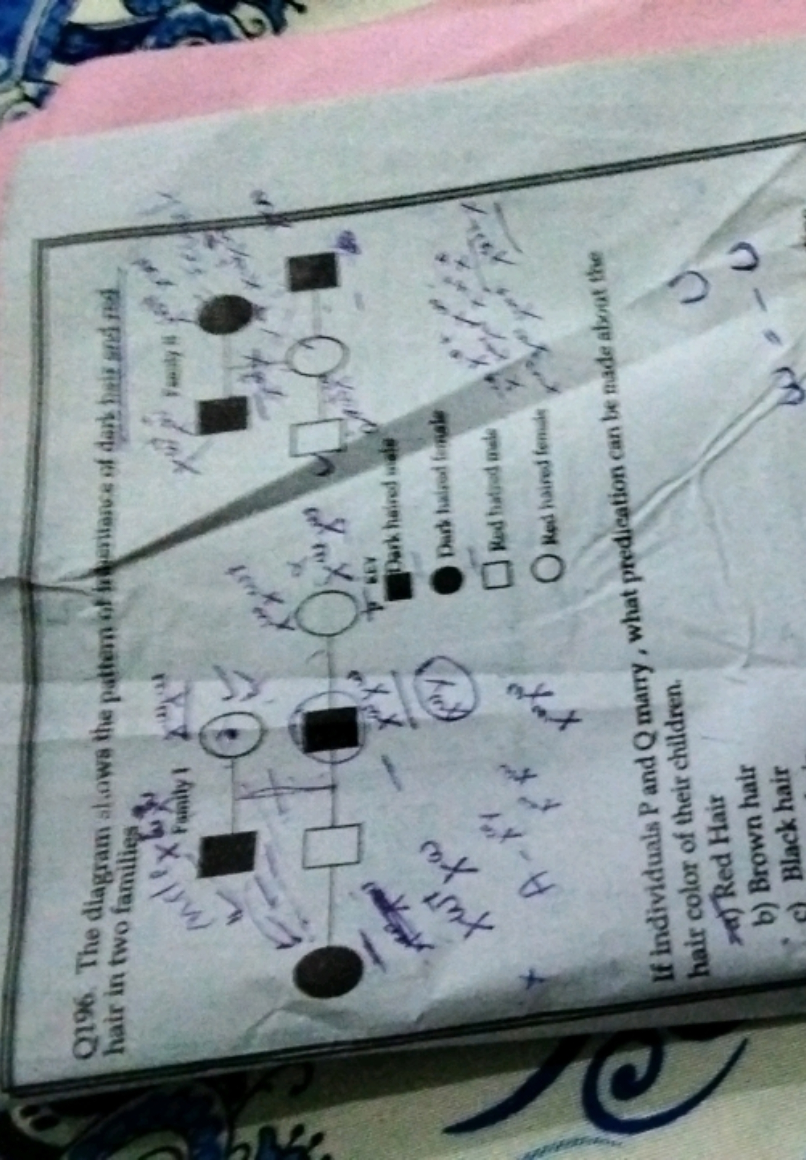 Q196. The diagram slows the pattern of inheritance of dark hair and re