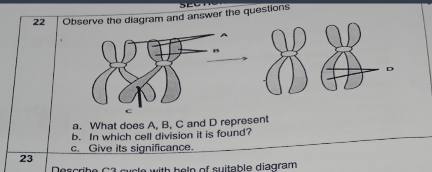 22 Observe the diagram and answer the questions
a. What does A, B, C a