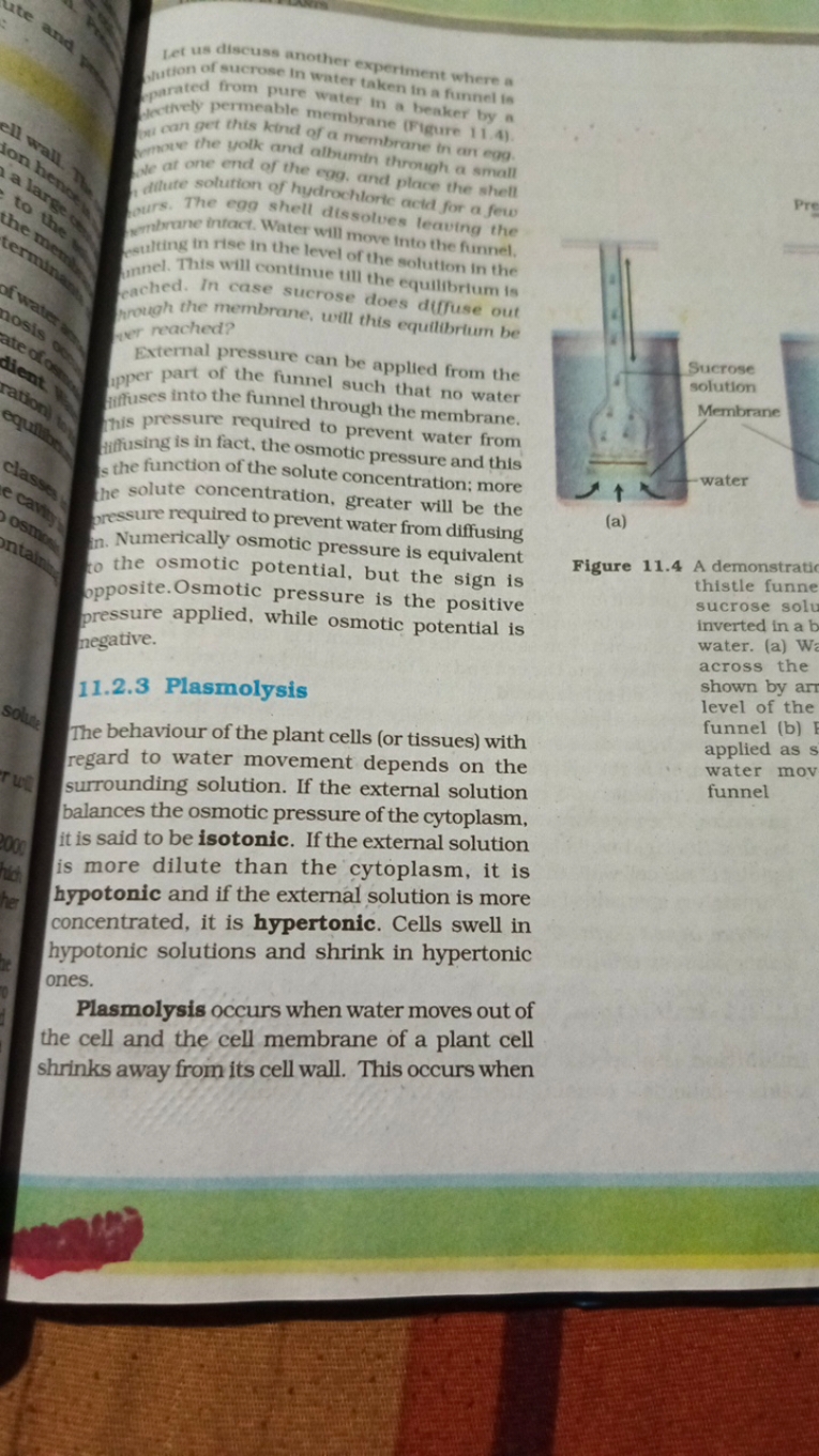 Let us discuss another experiment where a wution of sucrose in water t