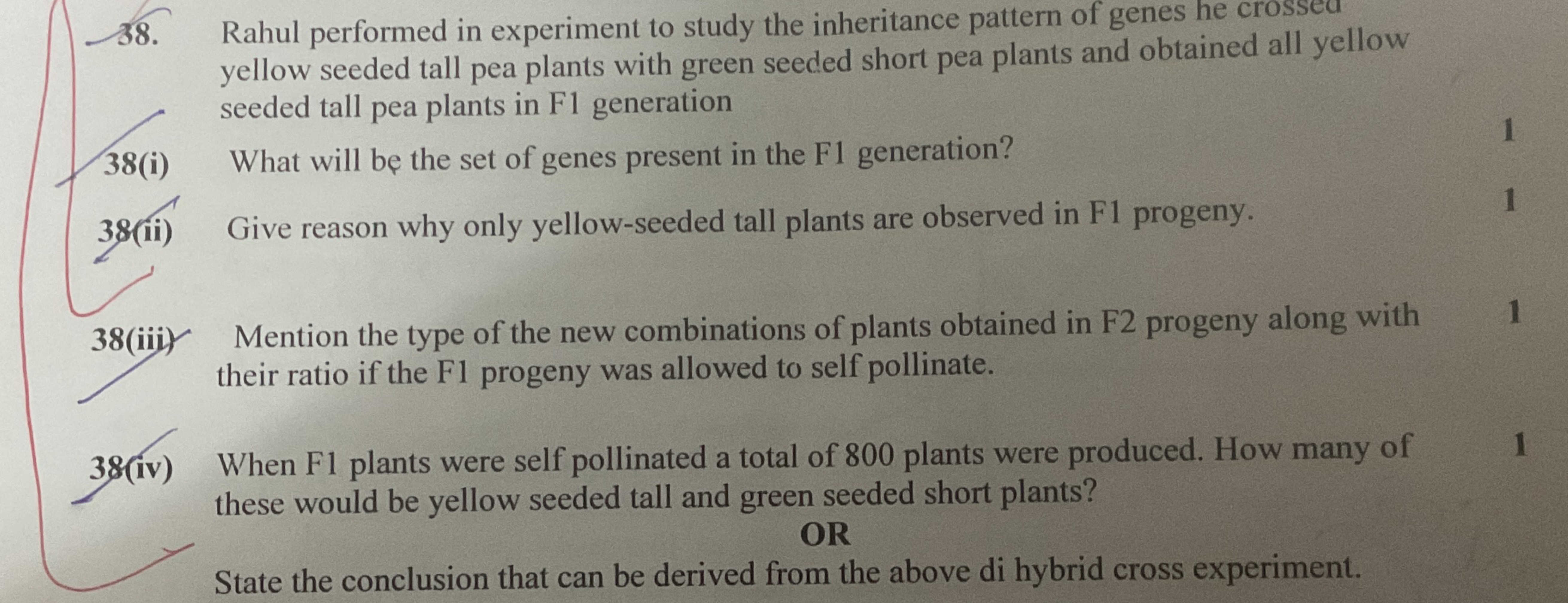 38. Rahul performed in experiment to study the inheritance pattern of 