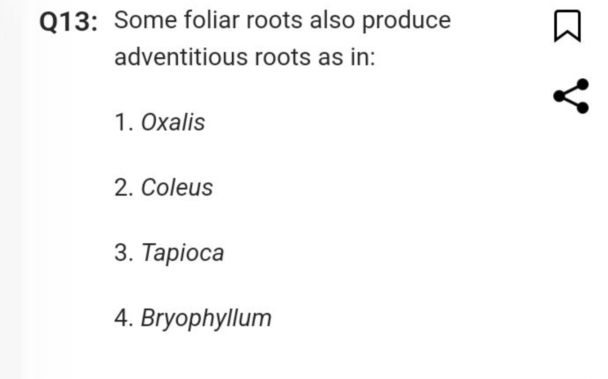 Q13: Some foliar roots also produce adventitious roots as in:
1. Oxali